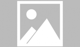 91九尾直播,揭秘虚拟世界中的奇幻之旅